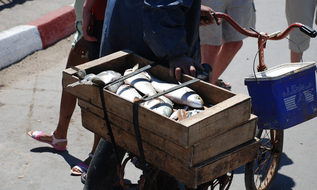 Essaouira fish